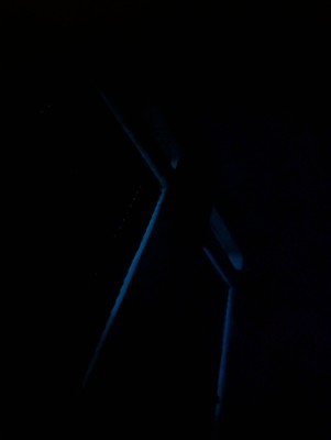 PXL_20241218_123224067.NIGHT.jpg