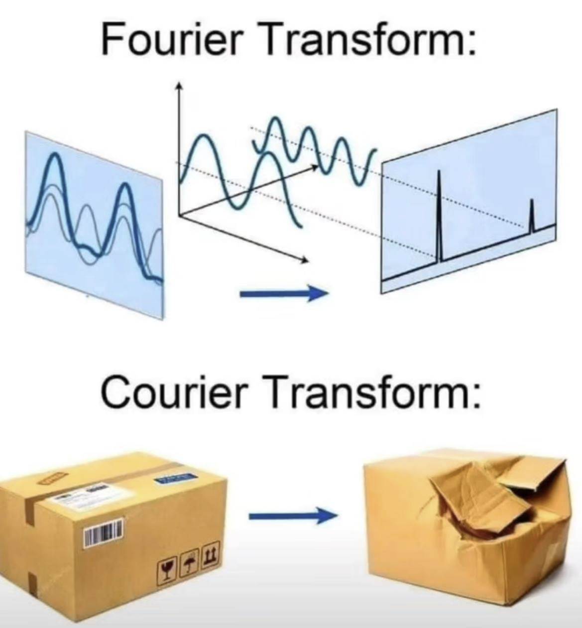 -6024107046628082902_121.jpg