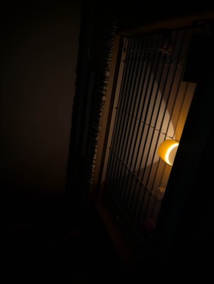 PXL_20250128_023956037.NIGHT.jpg