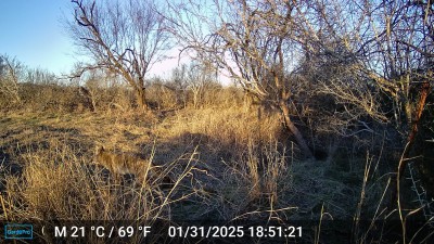 DSCF0357.JPG