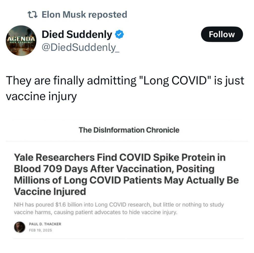 1740037005438596m.jpg