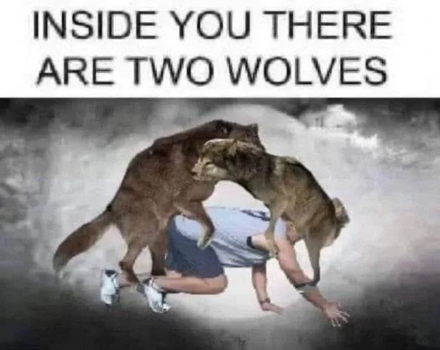 1741144875219065.jpg