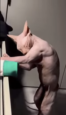 2025-03-11 174529.png