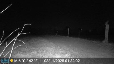 DSCF0030.JPG