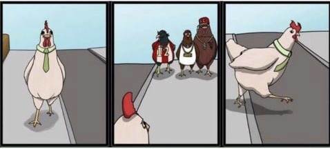 1744409981606064.jpg