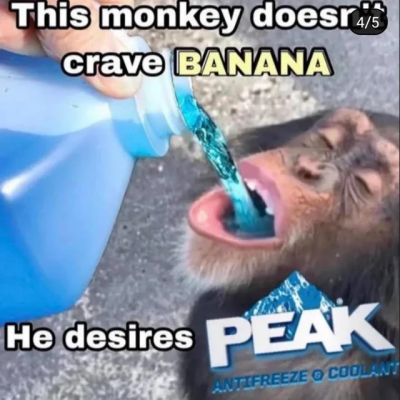 1745805601480081.png