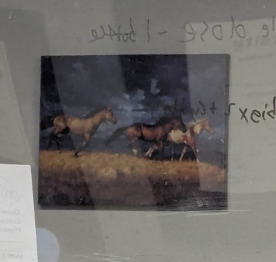 PXL_20250509_152048076.jpg