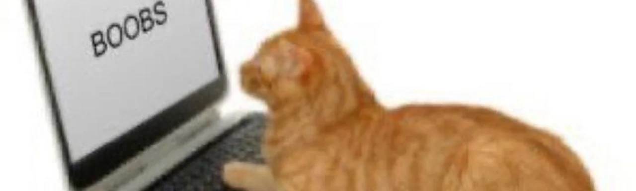 profileBannerpfbd1.jpg