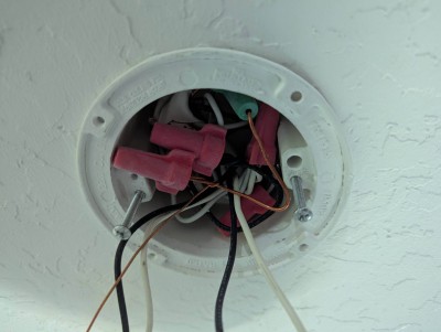 PXL_20250724_210647121.jpg