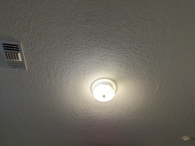 PXL_20250724_213232648.jpg