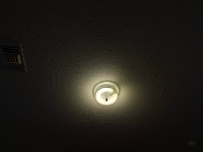 PXL_20250724_213235568.jpg