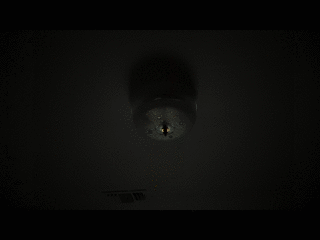 output1a.gif