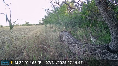 DSCF0023.JPG