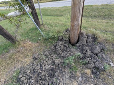 PXL_20250816_234734425.jpg