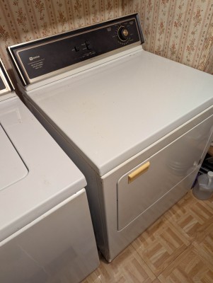 PXL_20250818_195218273.jpg
