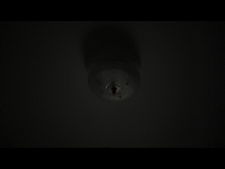 output8.gif