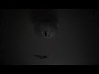 output10.gif
