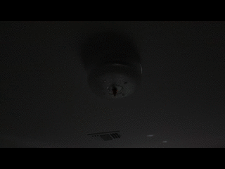 output22a.gif