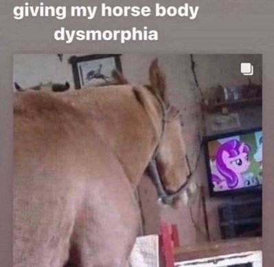 horse_dysmorph.jpg