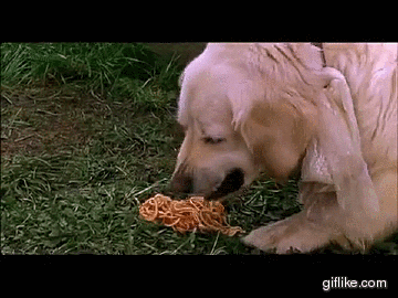 1776453629073007.gif