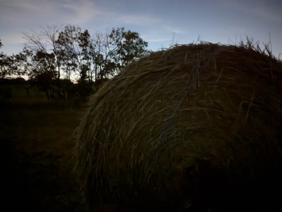 PXL_20240704_024707447.NIGHT.jpg