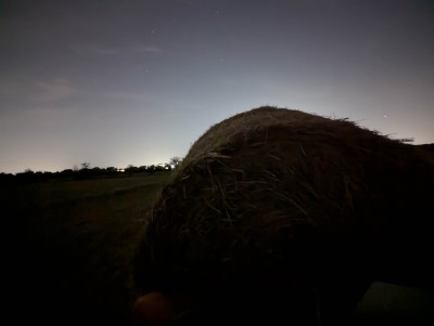 PXL_20240704_030441025.NIGHT.jpg