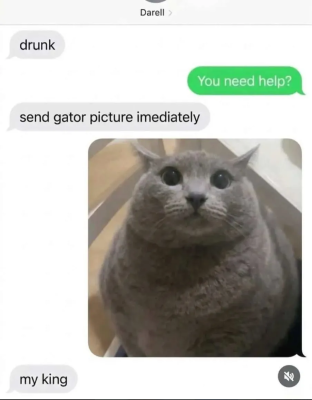Screenshot_3219.png