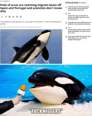1785499570728454.png