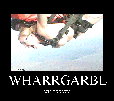 1787690290675828.gif