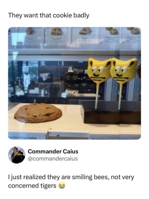 Cookiegimme.jpeg