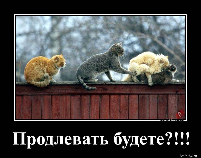 Продлевать будете?
