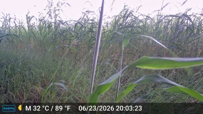 DSCF0173.JPG
