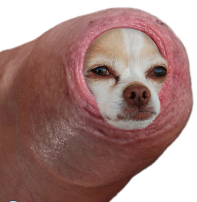 1790094397323017.png