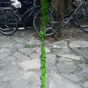 1725280695203808.gif