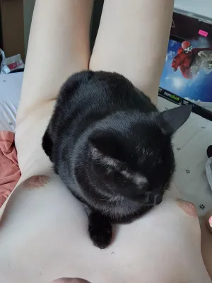 i-love-my-pretty-pussy-v0-zplq4ae1z3qd1.webp