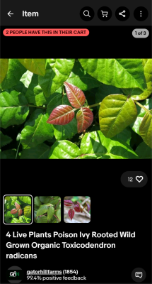 Screenshot_20241020-124712.png